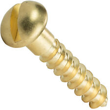 #6 Round Head Slotted Drive Wood Screws Solid Brass All Lengths In Listing picture