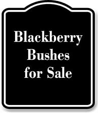 Blackberry Bushes for Sale Aluminum Composite Sign picture